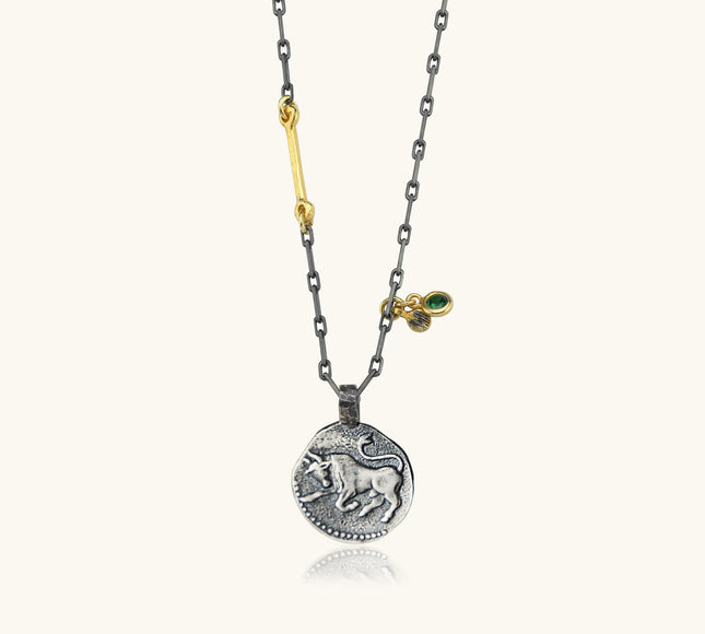 Ancient Zodiac Sign Necklace with Birthstone, 18K Gold-Plated Oxidized Sterling Silver