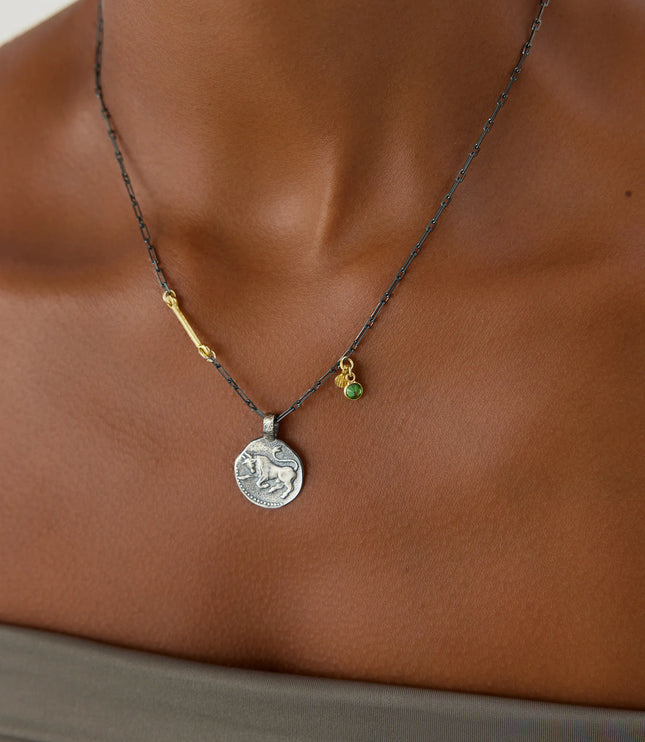 Ancient Zodiac Sign Necklace with Birthstone, 18K Gold-Plated Oxidized Sterling Silver