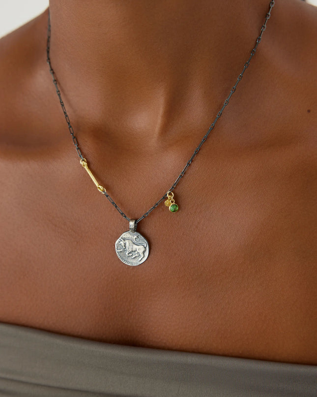 Ancient Zodiac Sign Necklace with Birthstone, 18K Gold-Plated Oxidized Sterling Silver Dabas Minimalist