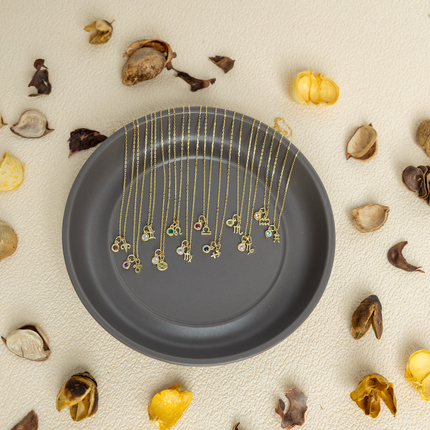 Discover Personalized Elegance with Our Birthstone Zodiac Sign Necklace