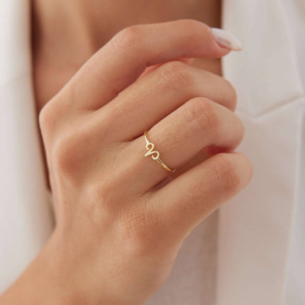 Tiny Personalized Zodiac Ring Dabas Minimalist